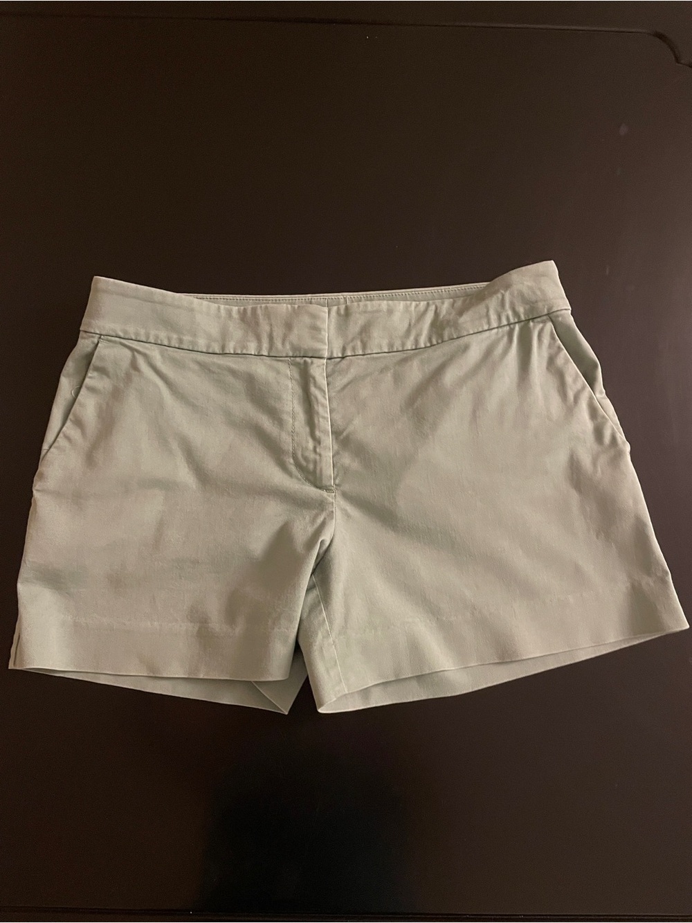 Women's Light Sage Casual Shorts